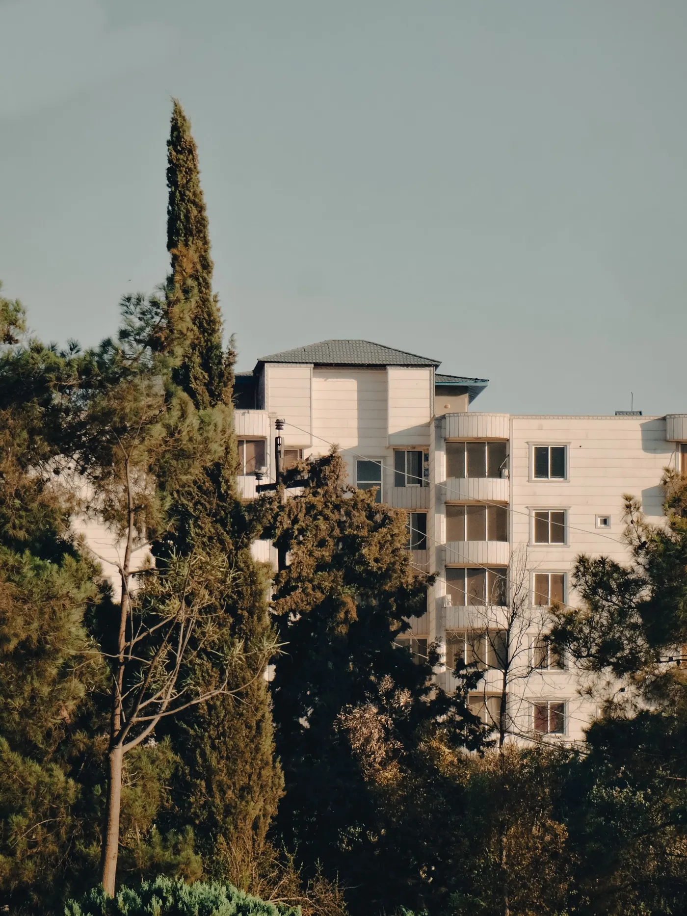A modern apartment building among mature trees