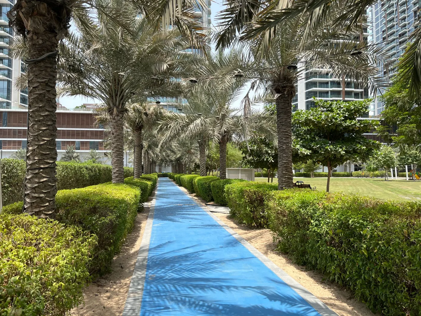 A palm-lined blue walking path through a landscaped Dubai park